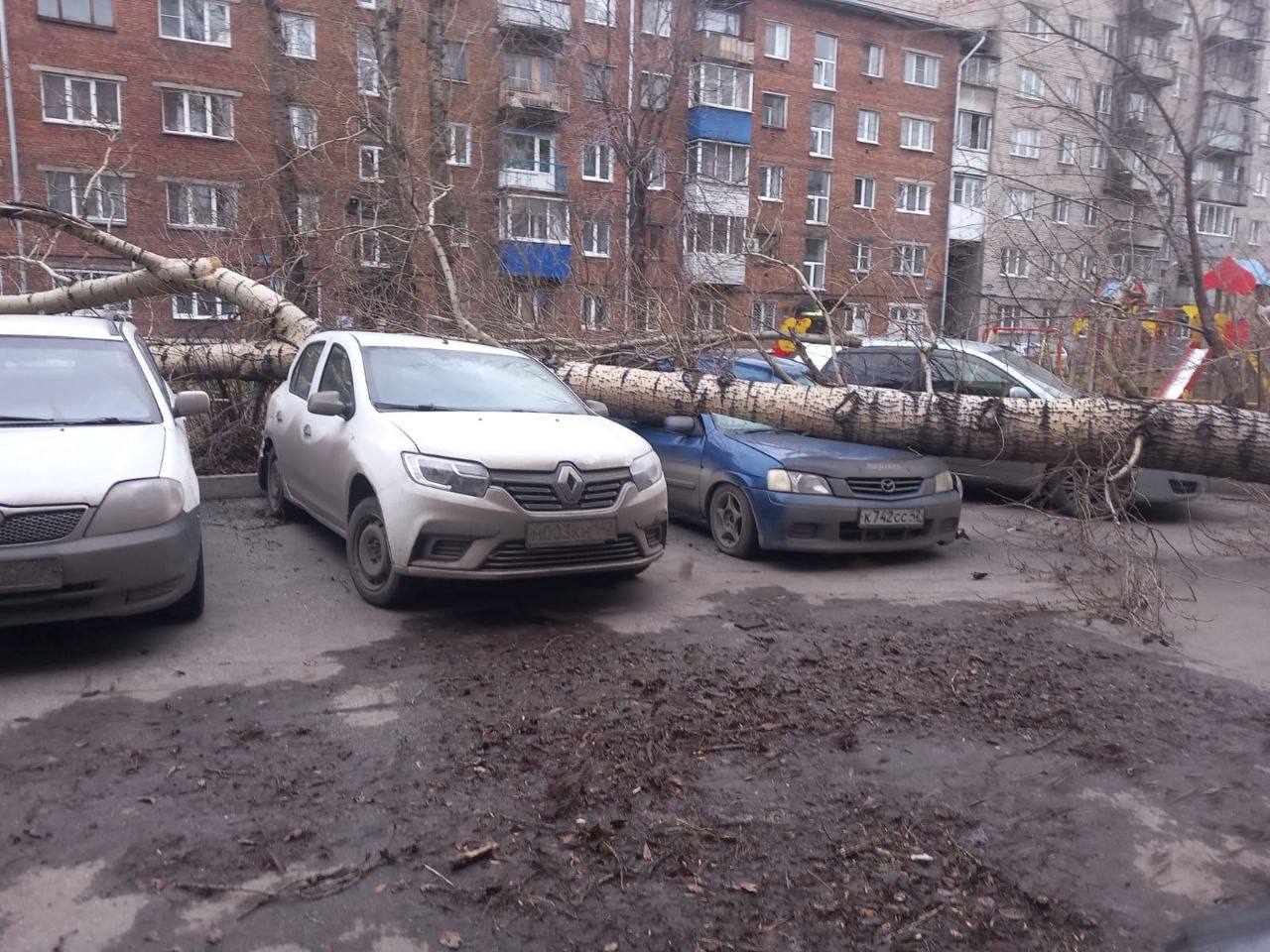 Последствия сильнейшего шторма. Фото © t.me / Бардокин live Новокузнецк