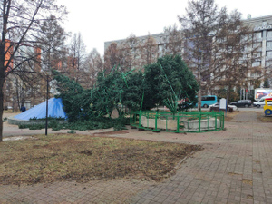 Последствия сильнейшего шторма. Фото © t.me / Инцидент Кемерово