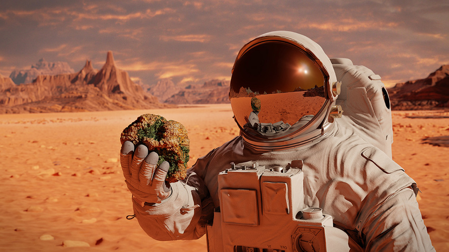 Межпланетная миссия: сколько лететь до Марса? Обложка © Shutterstock