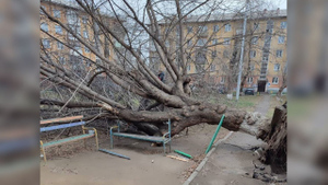 Ураганный ветер оставил без света 14 населённых пунктов в Красноярском крае