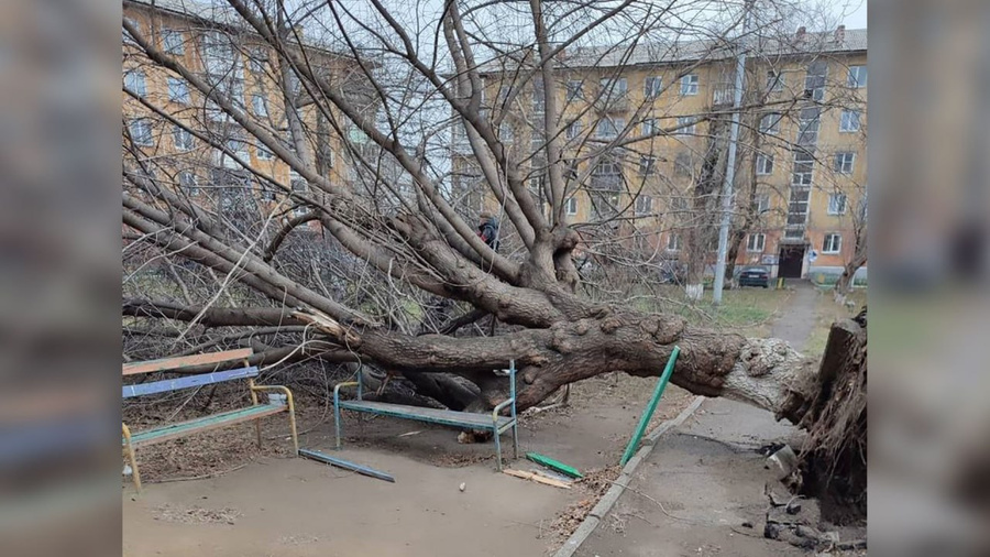 Последствия ураганного ветра в Красноярском крае. Фото © t.me / Newslab