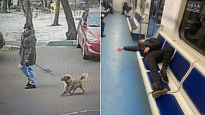Странная женщина вот уже год ворует собак на юго-востоке Москвы, возможно, для пропитания
