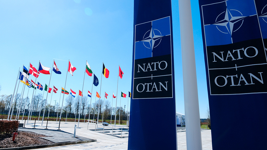 Государства – члены НАТО. Обложка © Shutterstock