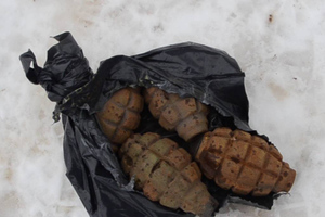Тайник с гранатами нашли в стволе дерева возле АЗС в Курской области