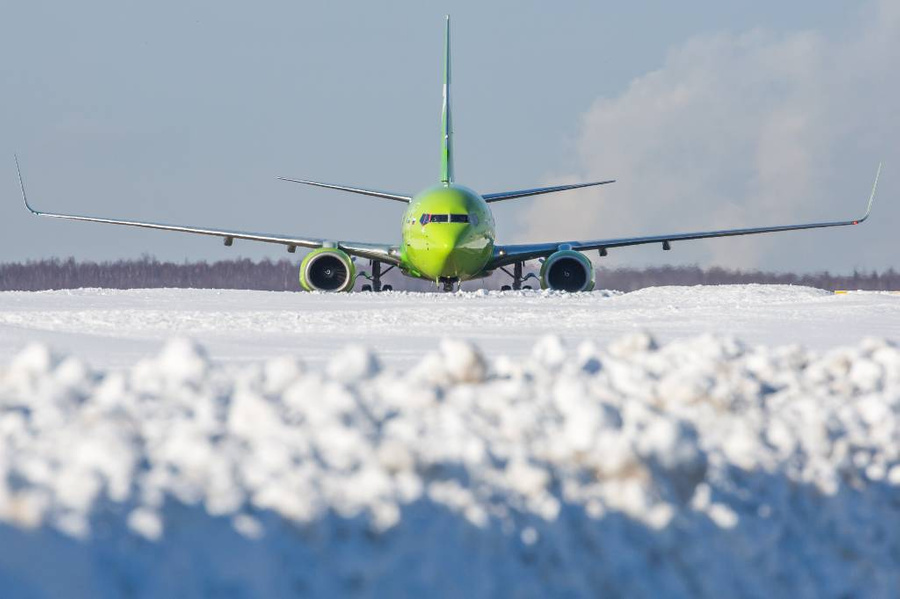 Самолёт в аэропорту Домодедово. Обложка © ТАСС / Марина Лысцева