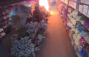 Названа причина пожара на цветочном складе в Москве, который унёс жизни семи человек