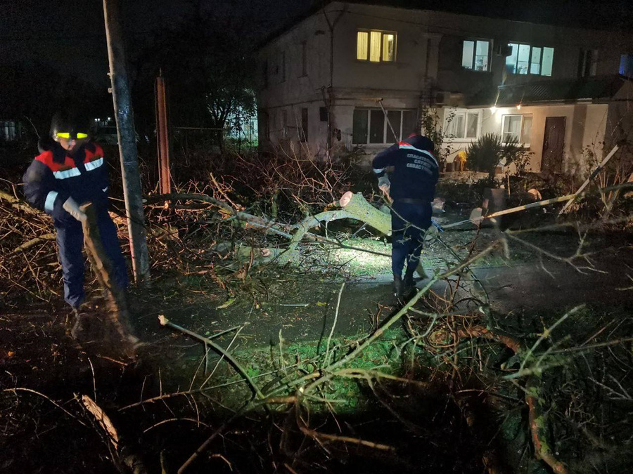 Специалисты устраняют последствия штормового ветра в Севастополе. Обложка © t.me / РаZVожаев