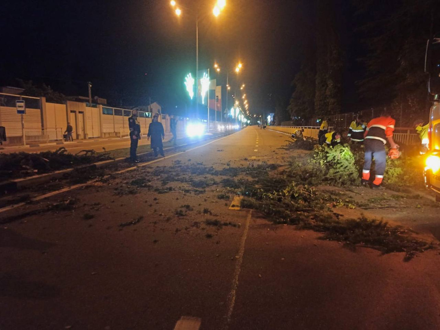 Специалисты ликвидируют последствия стихии в Сочи. Обложка © t.me / Алексей Копайгородский