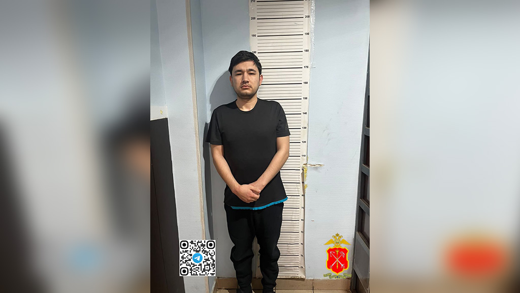 Сообщник домработницы, ограбившей пенсионерку в Санкт-Петербурге. Фото © Telegram / Петербургская полиция