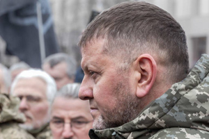 "Пауки в банке": Полковник в отставке объяснил, почему украинские депутаты накинулись на Залужного