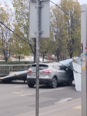 Поваленные деревья в Краснодаре Фото © t.me / krd_tipich_ru