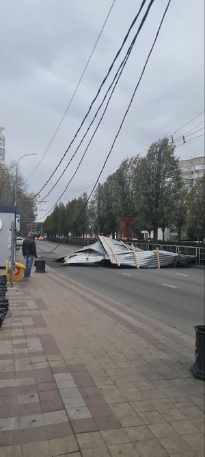 Поваленные деревья в Краснодаре Фото © t.me / krd_tipich_ru