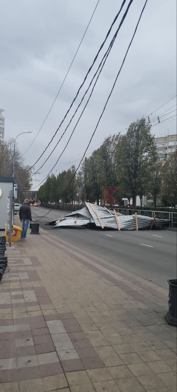 Поваленные деревья в Краснодаре Фото © t.me / krd_tipich_ru