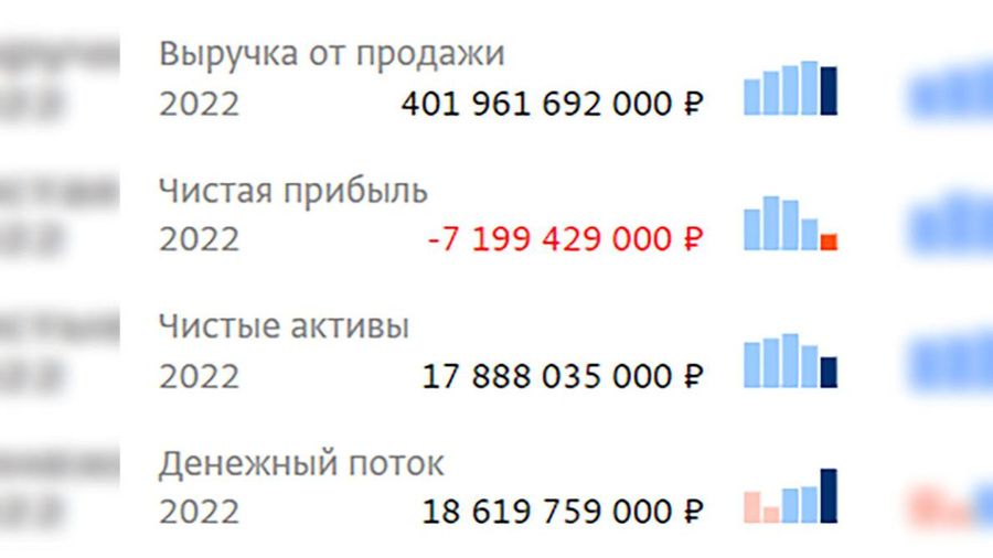 Финансовые показатели "МВМ". Фото © spark-interfax.ru