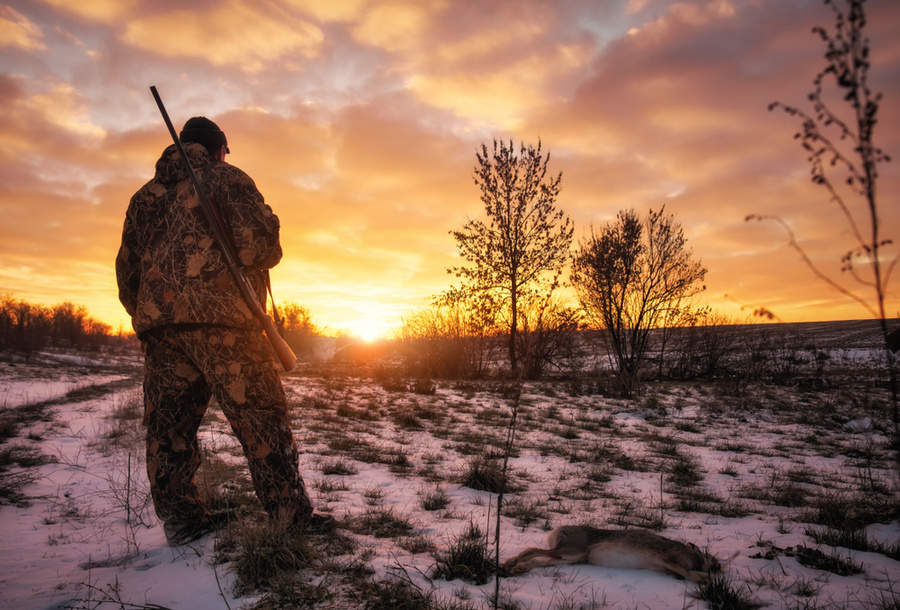 Под Красноярском нашли живыми отца и сына, пропавших на охоте ещё 6 ноября. Обложка © Shutterstock
