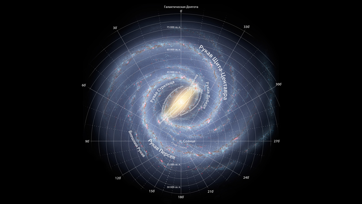 Структура галактики Млечный Путь с указанием расположения Солнца. Фото © Wikipedia 