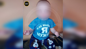 В Красноярском крае трёхлетний мальчик и котёнок насмерть отравились котлетой