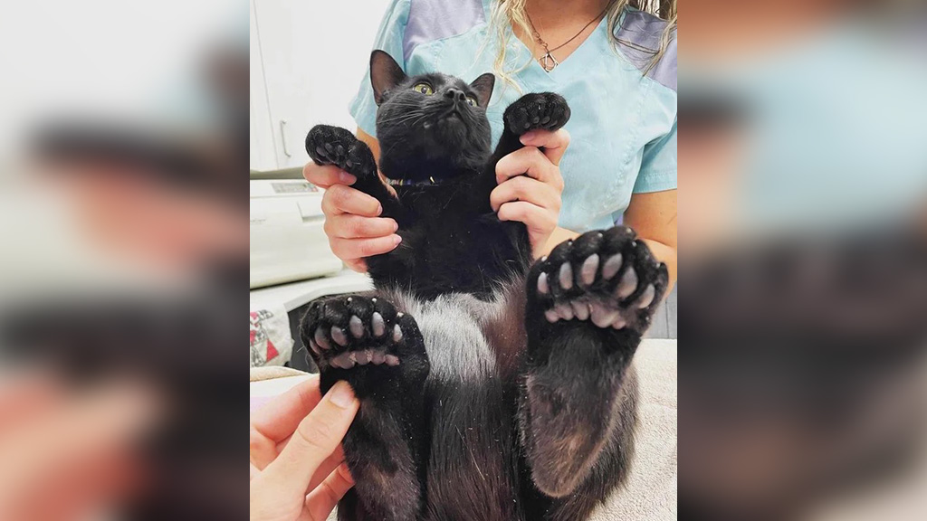 Фото © Reddit / Пользователь Reddit