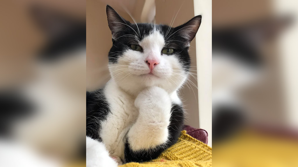 Фото © Reddit / alc0holl