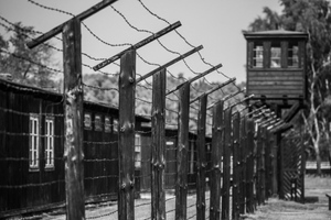 Зверства фашистов на "фабриках смерти" в Восточной Пруссии признаны геноцидом спустя 80 лет