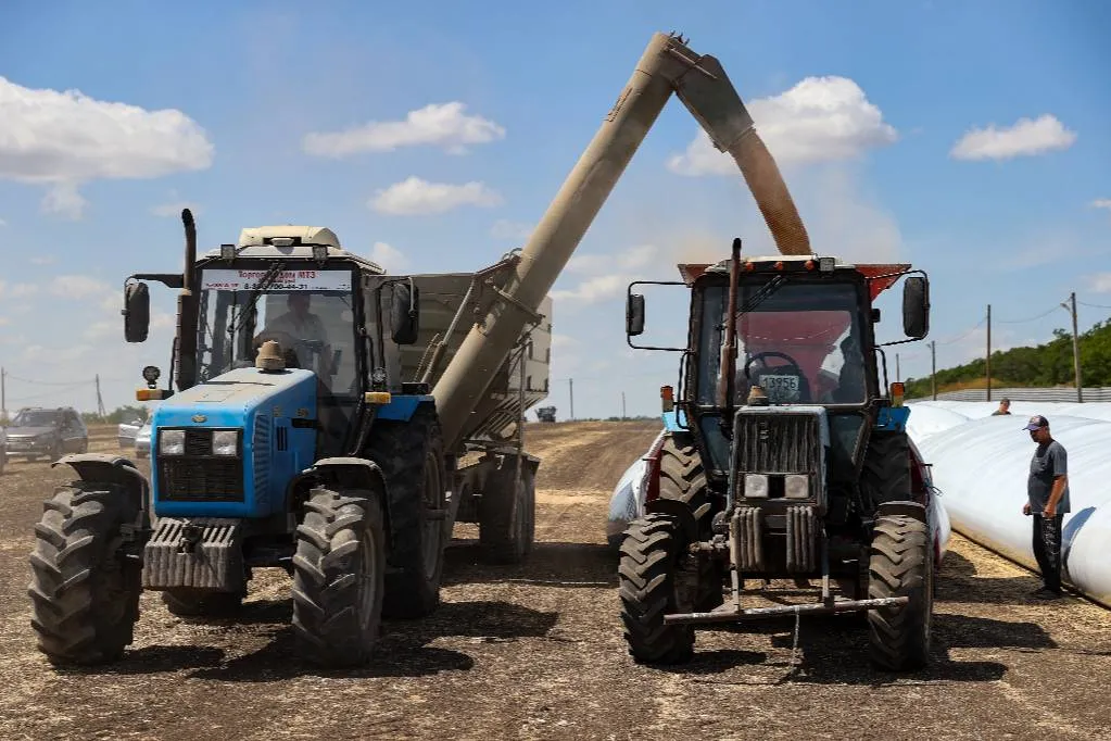 Путин: Россия в 2023 году соберёт один из рекордных урожаев зерна