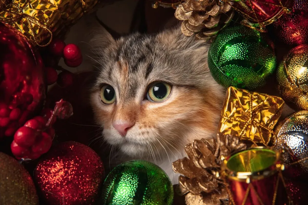 Ветеринар объяснил, что делать, если кот съел мишуру с новогодней ёлки