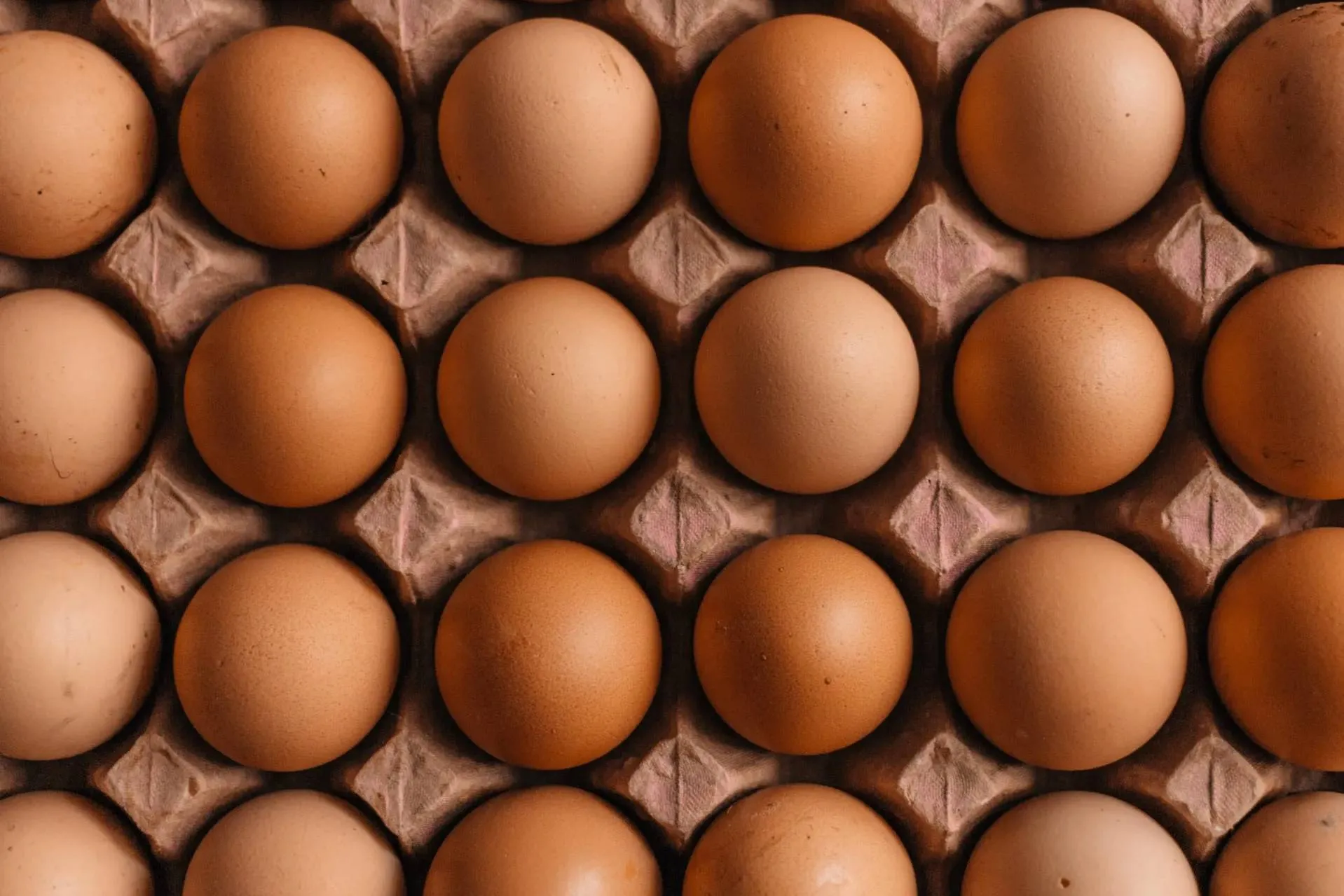 Правительство РФ обнулило пошлины на импорт яиц для стабилизации цен