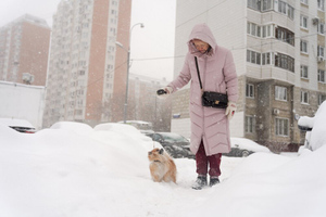 В Москве побит суточный рекорд по осадкам 43-летней давности