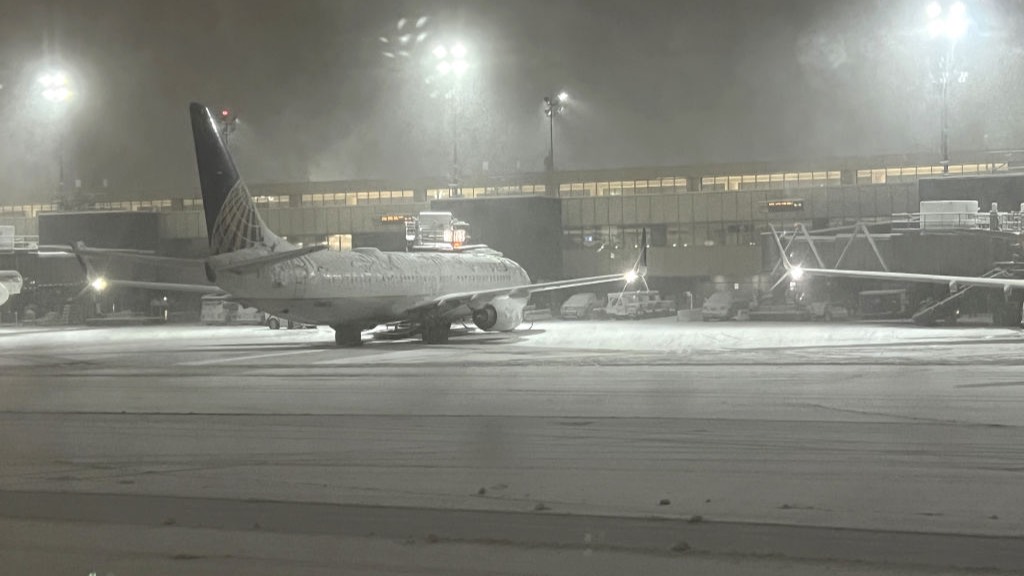 Свыше 70 рейсов задержаны в аэропортах Москвы из-за сильнейшей метели