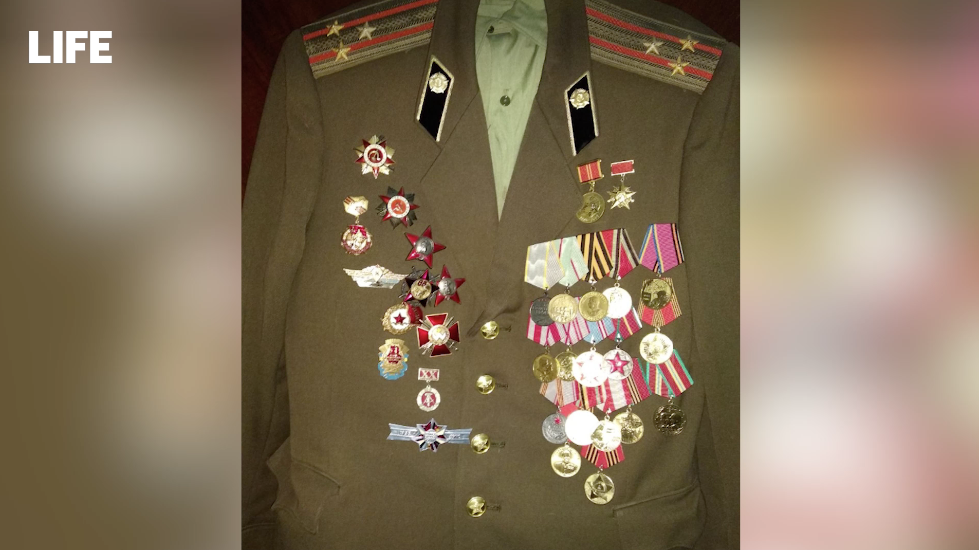 Фото ©&nbsp;LIFE