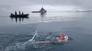 Пловчиха из Чили проплыла 2,49 км в Антарктиде и установила мировой рекорд