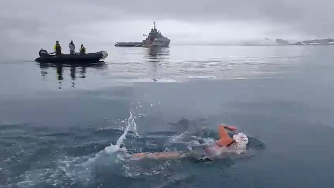 Пловчиха из Чили проплыла 2,49 км в Антарктиде и установила мировой рекорд