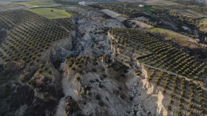 Огромный тектонический разлом на оливковом поле после землетрясения в Турции сняли на видео