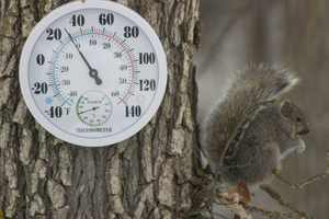 Учёный раскрыл, почему погодные ощущения не сходятся с показателями термометра