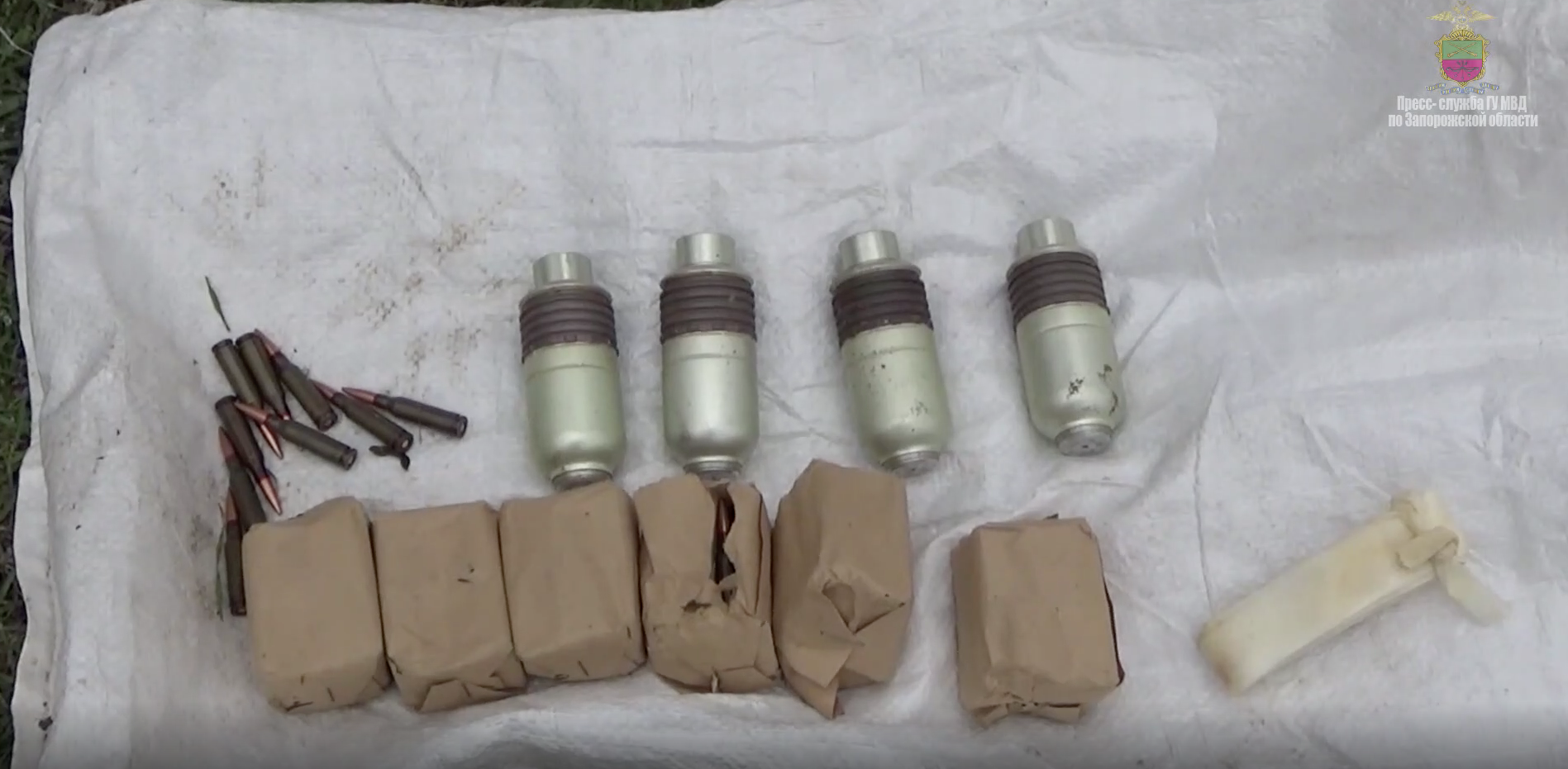 Полицейские с собаками нашли схрон с гранатомётом и минами в Запорожской области