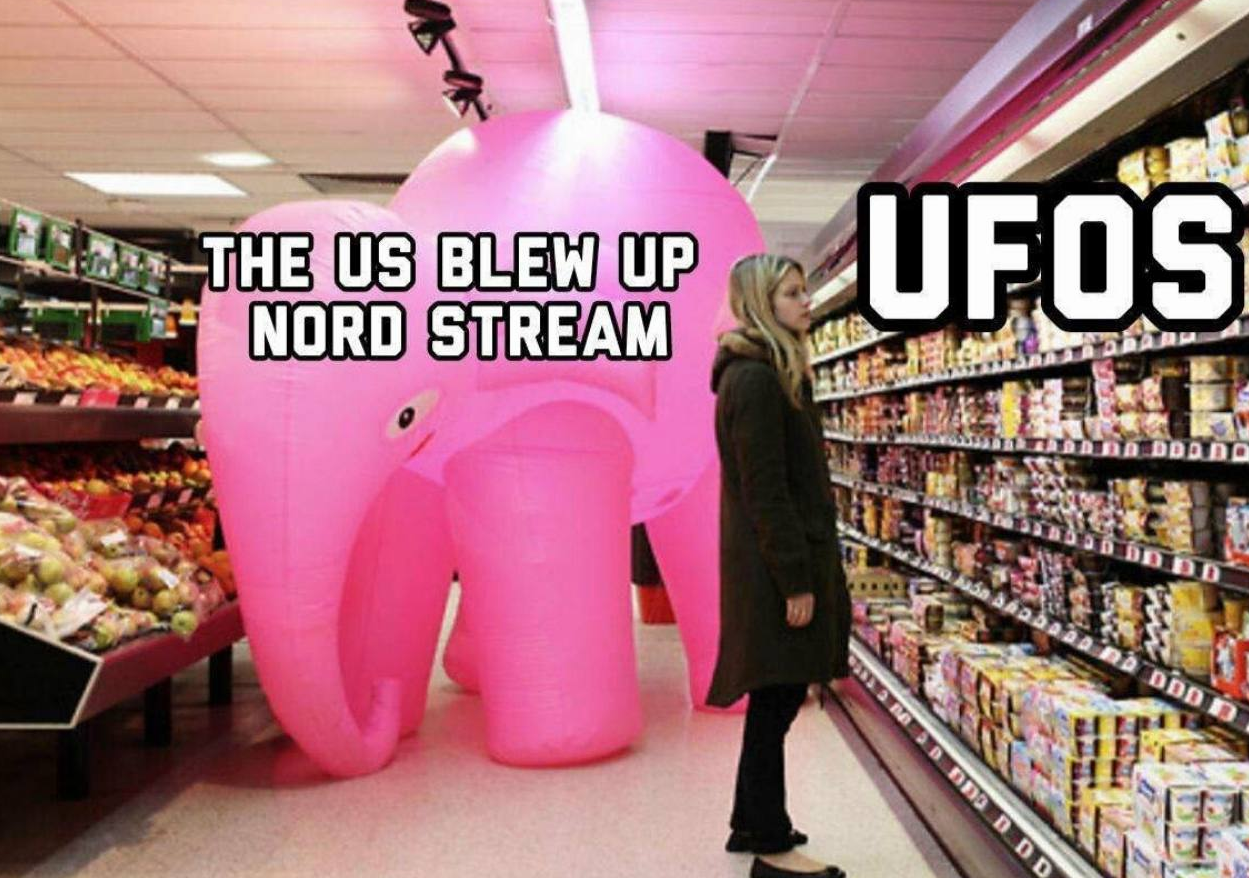 Трамп-младший мемом со слоном объяснил появление "НЛО" над США. Фото © Телеграм-канал Donald Trump Jr