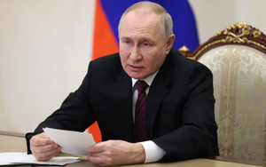 Путин назвал эффективную защиту прав граждан залогом демократического развития России