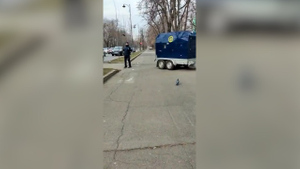 Возле Посольства РФ в Бухаресте выставили оцепление из-за подозрительного конверта