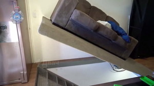 Австралиец не так понял фразу про диванные войска и очень удивил полицию