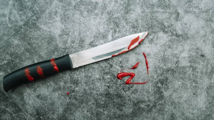 Квартирант избил и зарезал хозяина жилья под Хабаровском