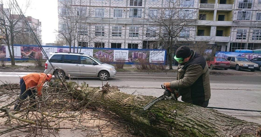 Коммунальщики работают на улицах Калининграда. Фото © VKontakte / Елена Дятлова