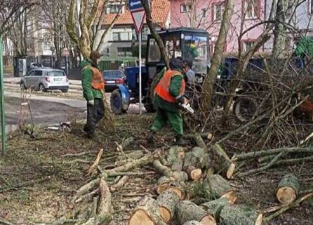 Коммунальщики распиливают дерево, упавшее из-за урагана "Ульф". Фото © VKontakte / Елена Дятлова