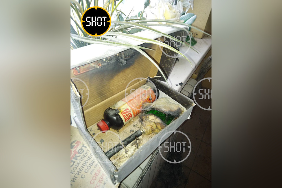 "Подарочная коробка" с СВУ, которая взорвалась в руках 22-летней жительницы Троицка. Фото © Telegram / SHOT