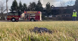 В Огайо 13 человек госпитализировали после пожара на металлургическом заводе