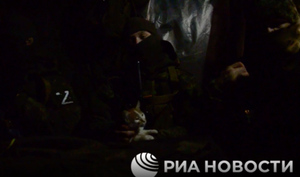 Бойцы СВО вместе с рыжим котом прямо в блиндаже смотрели послание Путина