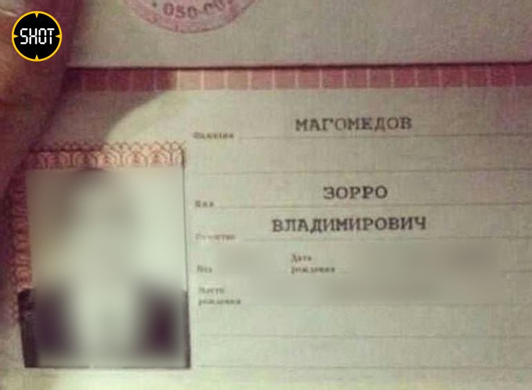 Страница из паспорта Зорро Магомедова. Фото © t.me / SHOT