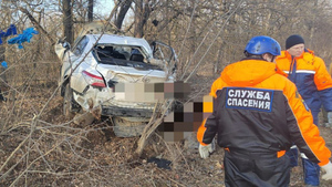 Семь человек погибли в ДТП в Ставропольском крае при столкновении двух автомобилей