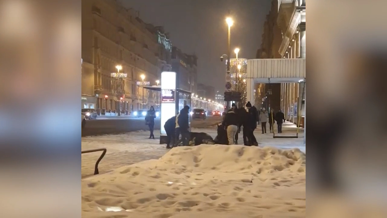 В центре Москвы двух лошадей ударило током от рекламного щита