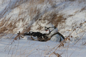 Около 350 украинских военных погибли в ожесточённых боях на Донецком фронте