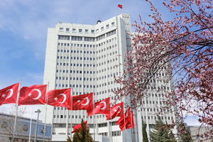 Посла Германии вызвали в турецкий МИД из-за скандалов с консульствами